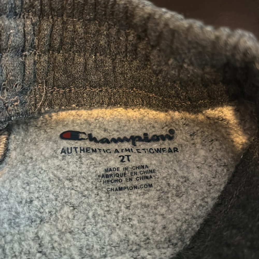 2T girls champion sweat pants - Picture 3 of 3